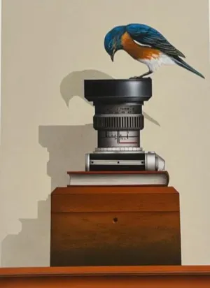 Bird's Eye View  - giclee print