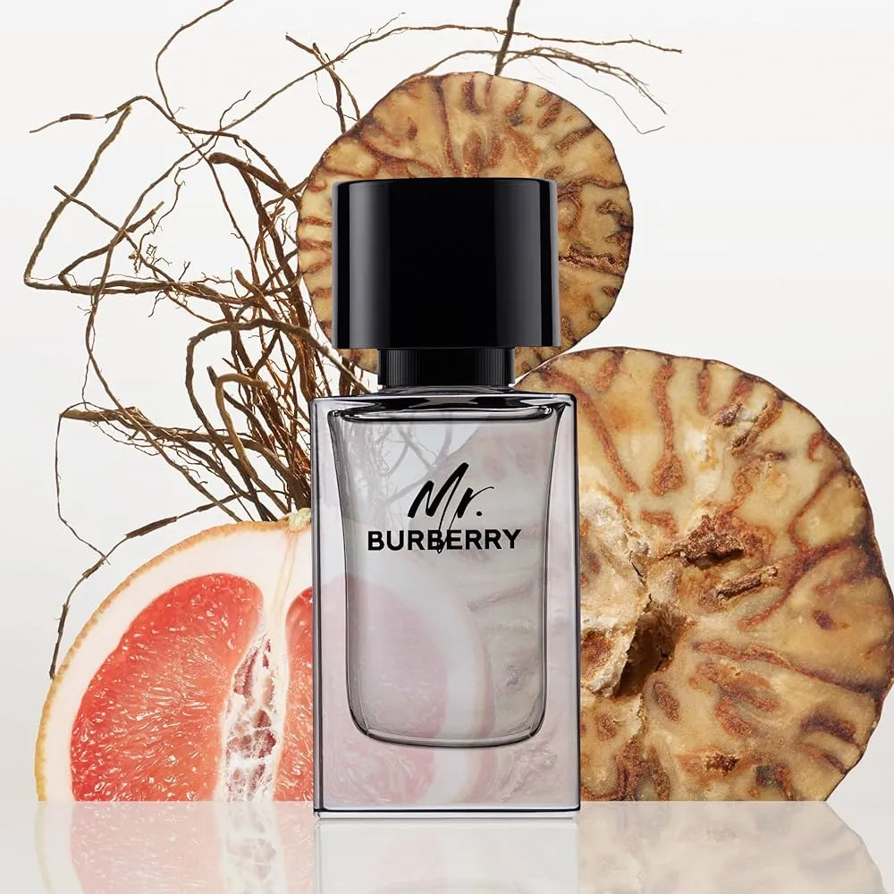 Burberry Mr Burberry EDT 100ml