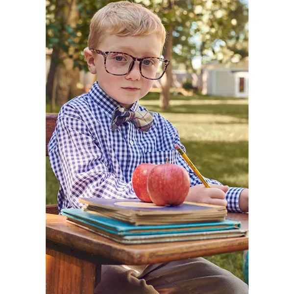 Buttondown Shirt -- Royal Soft Check