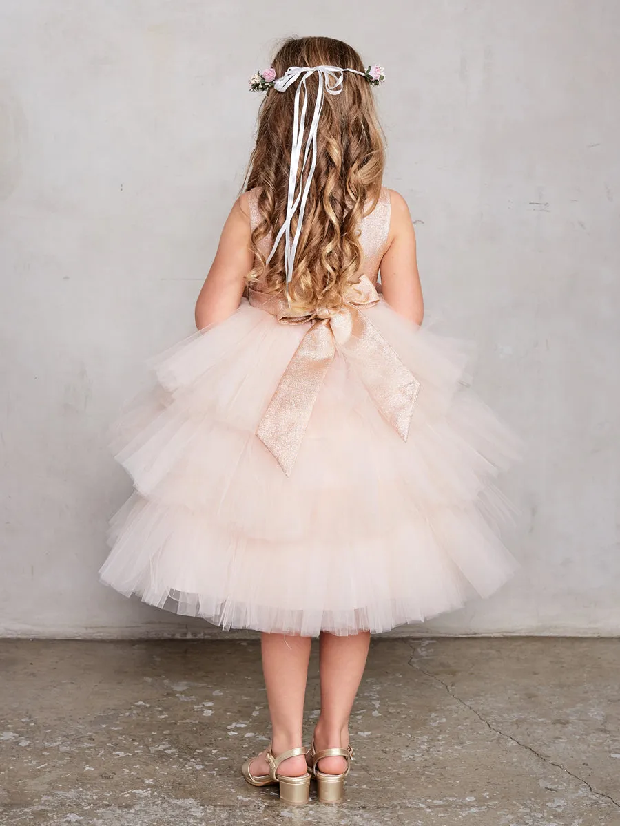 Glitter Ruffle Tulle Dress 5790