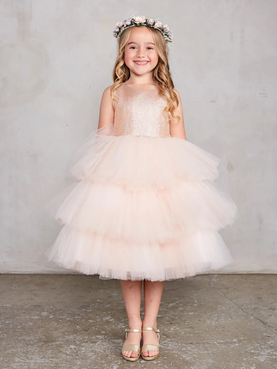 Glitter Ruffle Tulle Dress 5790