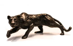 Lioness
