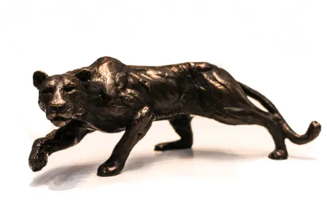 Lioness