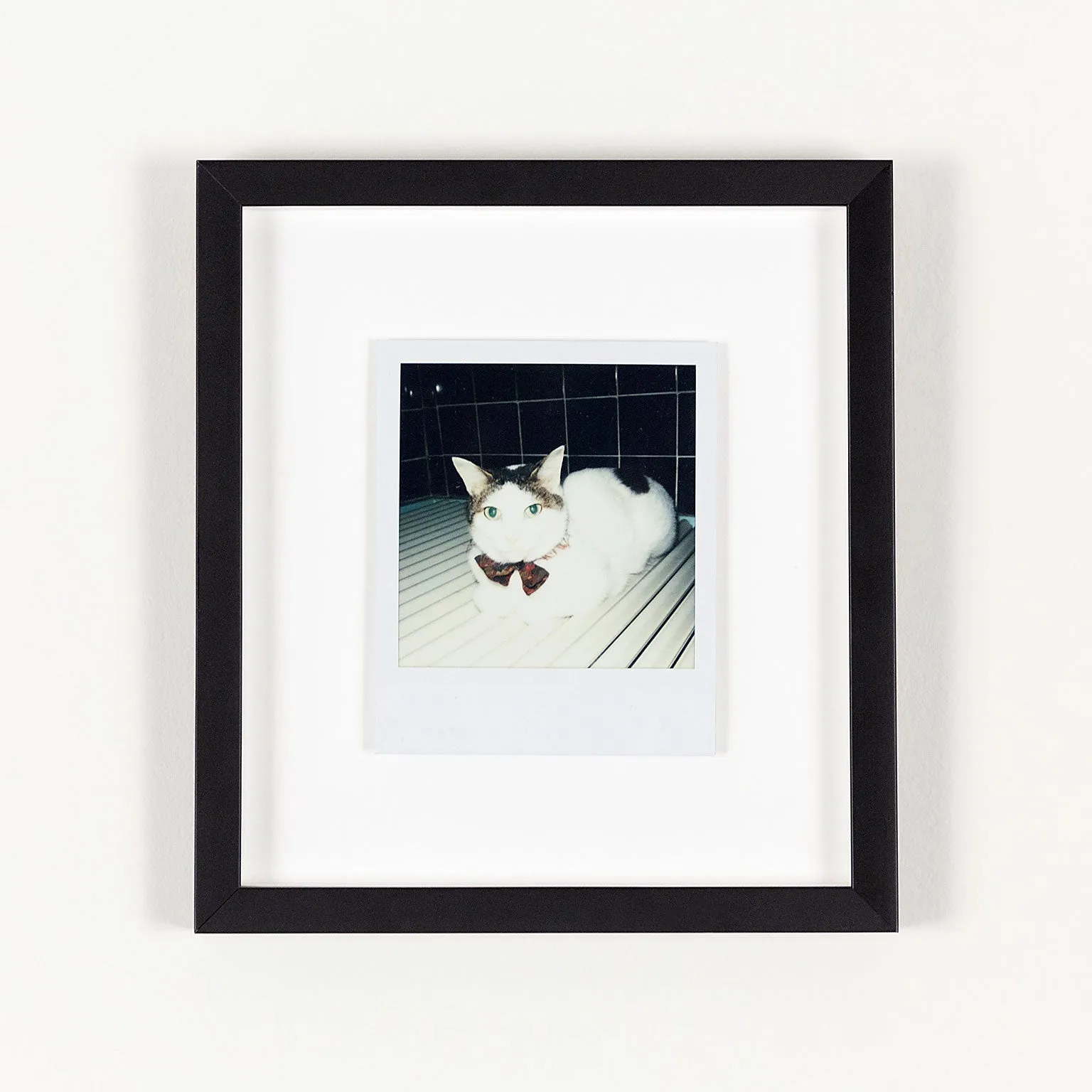 NOBUYOSHI ARAKI "CHIRO"   "TABLETOP" POLAROIDS, 2000