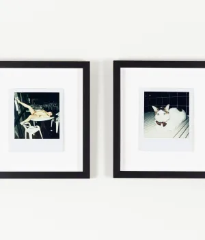 NOBUYOSHI ARAKI "CHIRO"   "TABLETOP" POLAROIDS, 2000