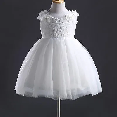Pretty Lace Baby Princess Flower Girl Dress