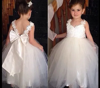 Pretty Lace Baby Princess Flower Girl Dress