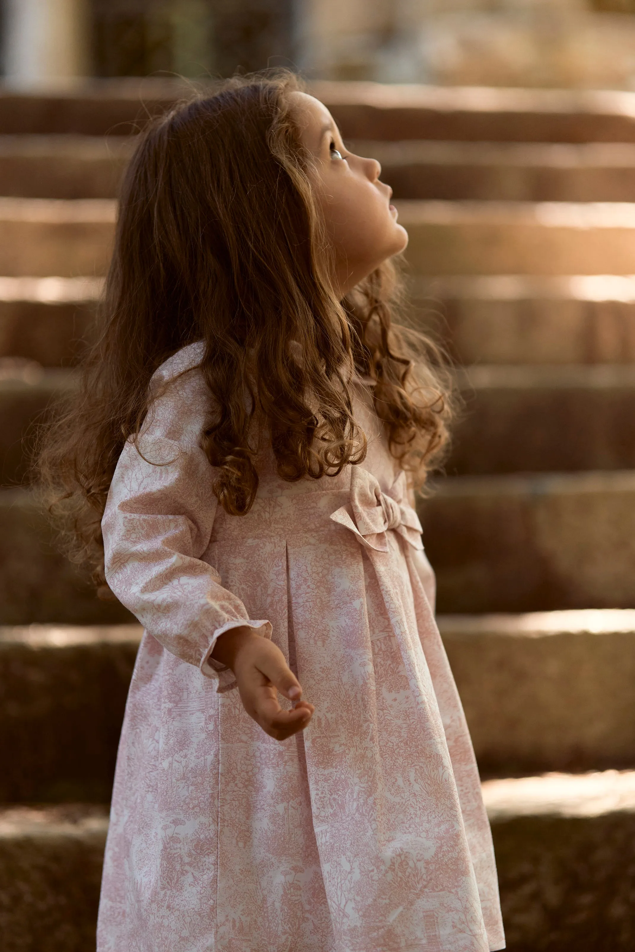 "Cassandra" Dusky Pink Toile Dress