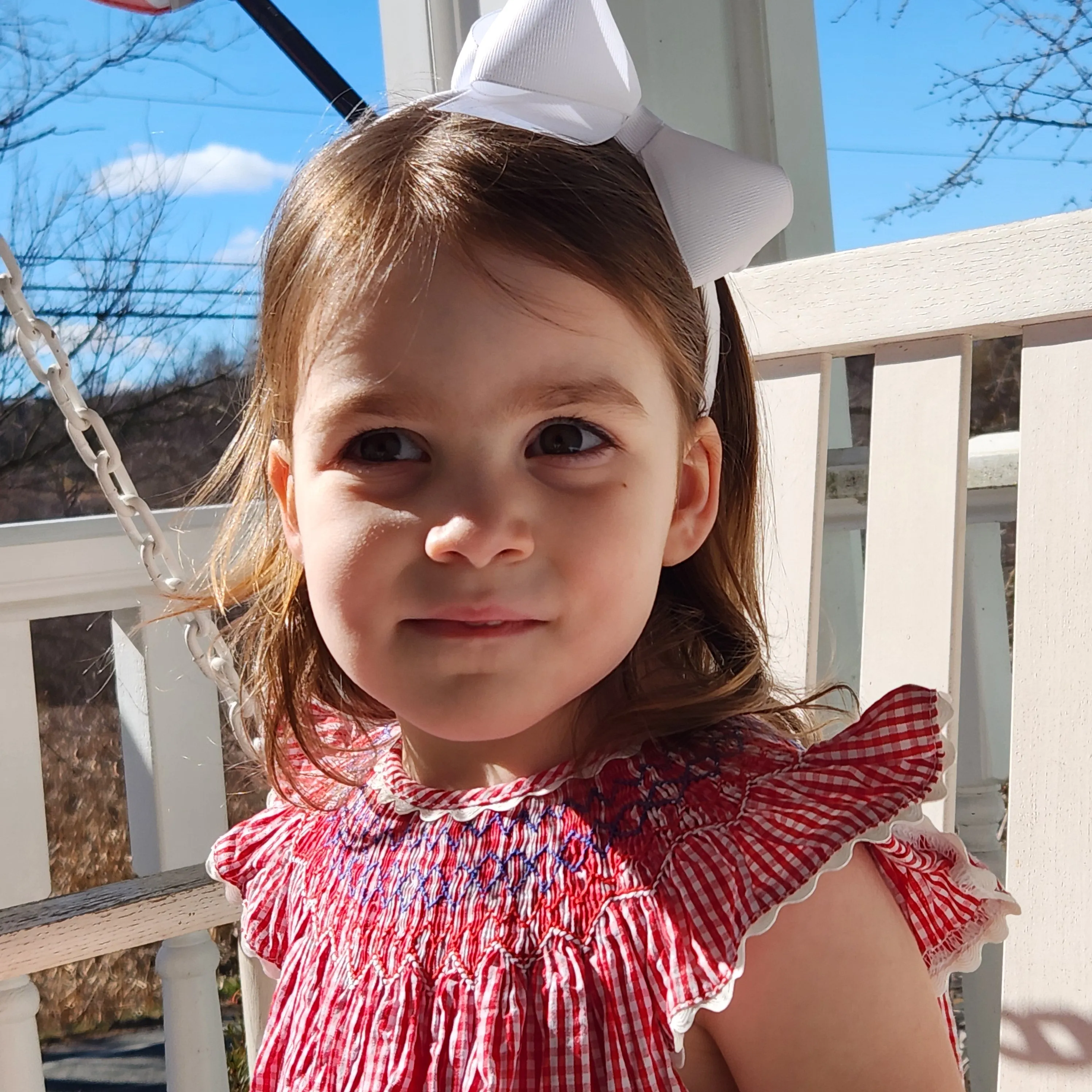 Red Gingham Smocked Dress