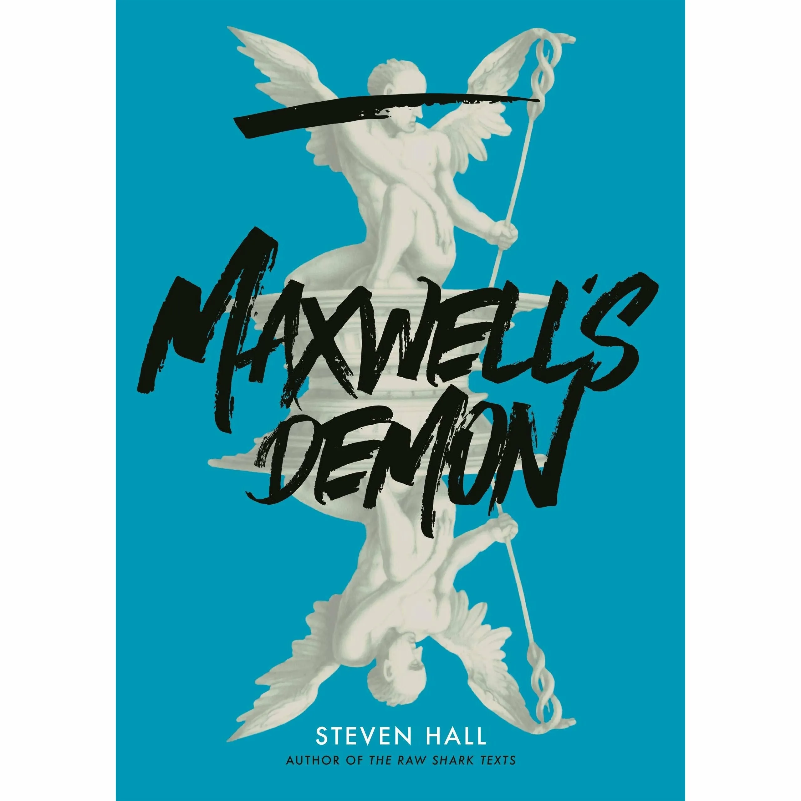 Steven Hall 2 Books Collection Set (The Raw Shark Texts (Canons) & Maxwell's Demon )