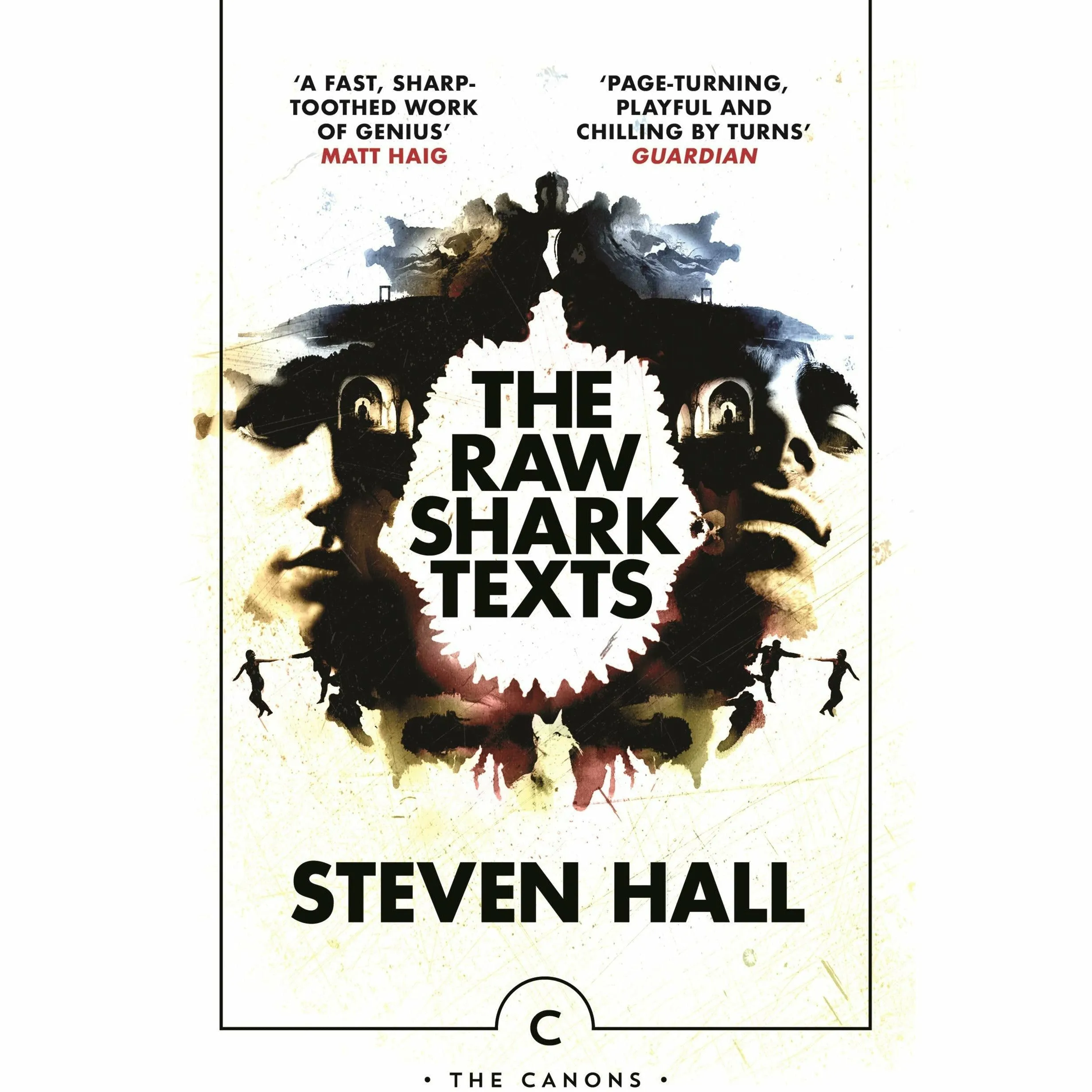 Steven Hall 2 Books Collection Set (The Raw Shark Texts (Canons) & Maxwell's Demon )