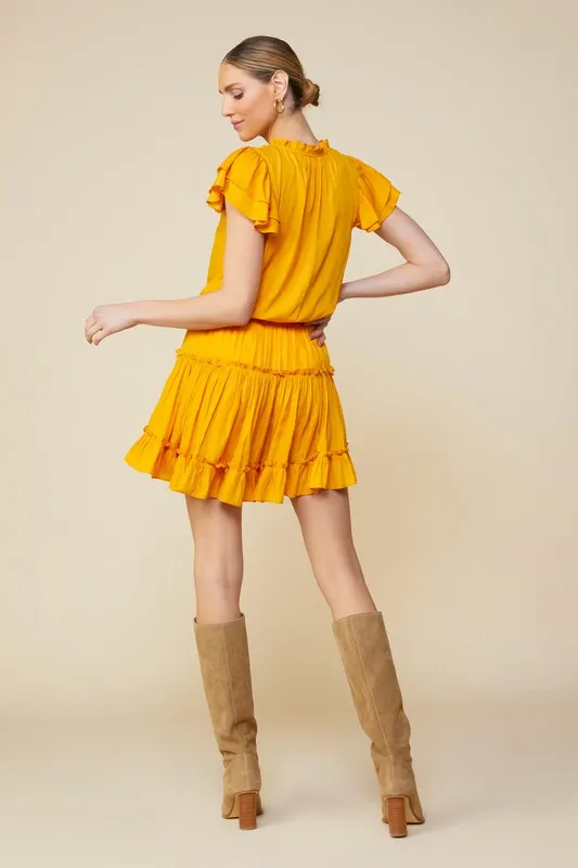 Sunny Ruffled Mini Dress