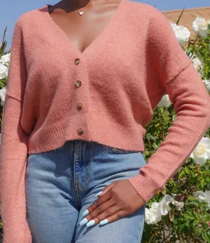 Valentina Button Down Sweater(Terra Cotta)